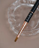 Brushes