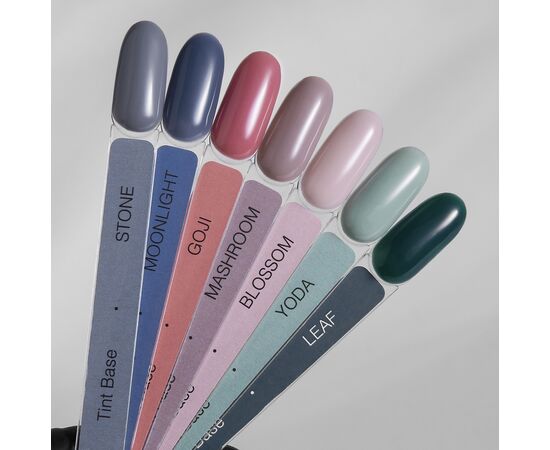HELLO TINT BASE BLOSSOM, 15 МЛ HL-TB15-051