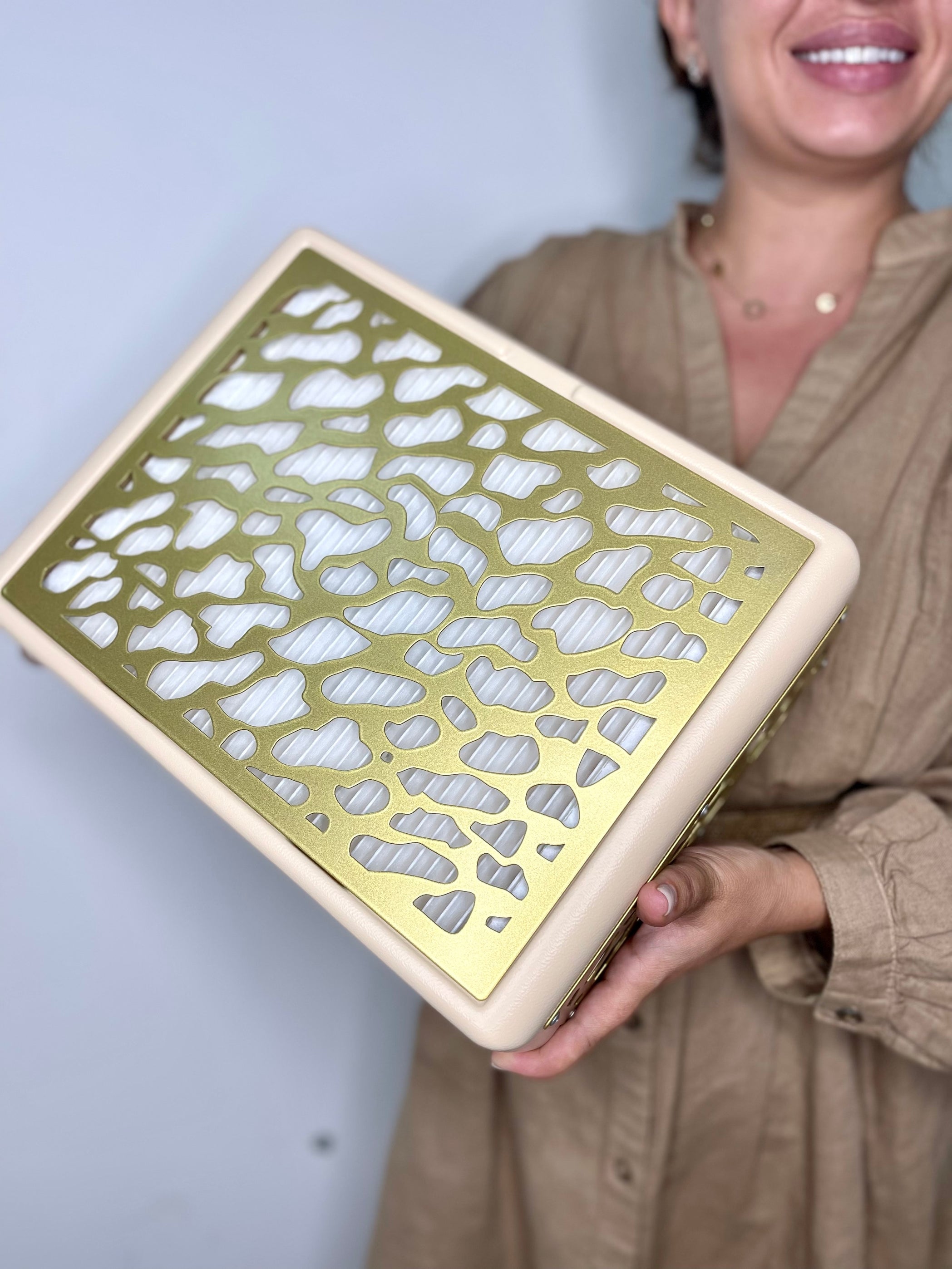 Пылесборник для ногтей с фильтром Air Max PANTHER 2в1 с НЕРА GOLD 